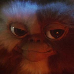 Meet your Posher, Jeffrey